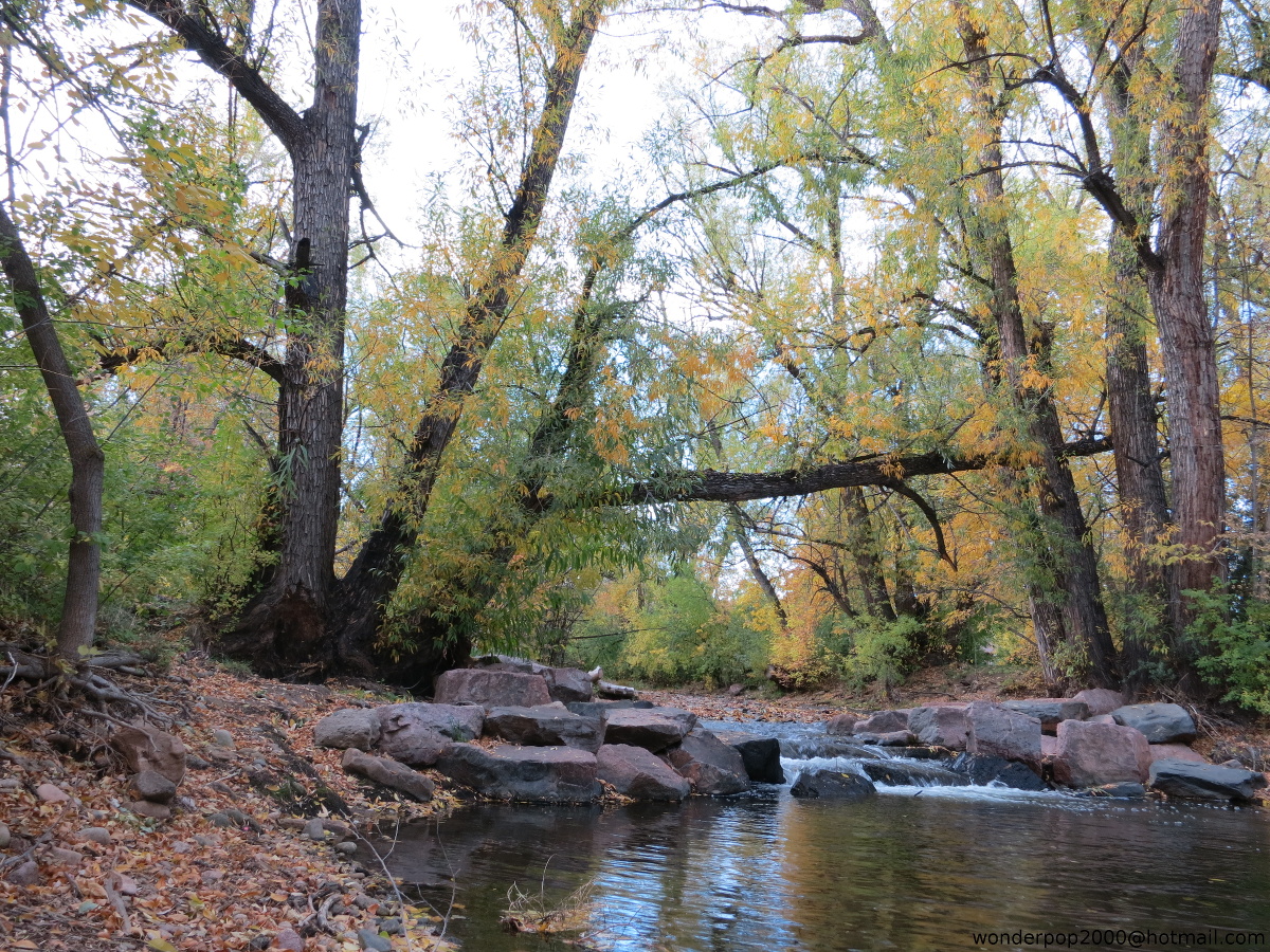 AutumnInColorado.jpg